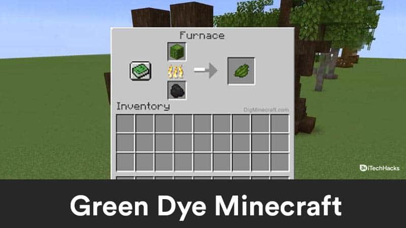 Minecraft 녹색 염료를 얻는 방법