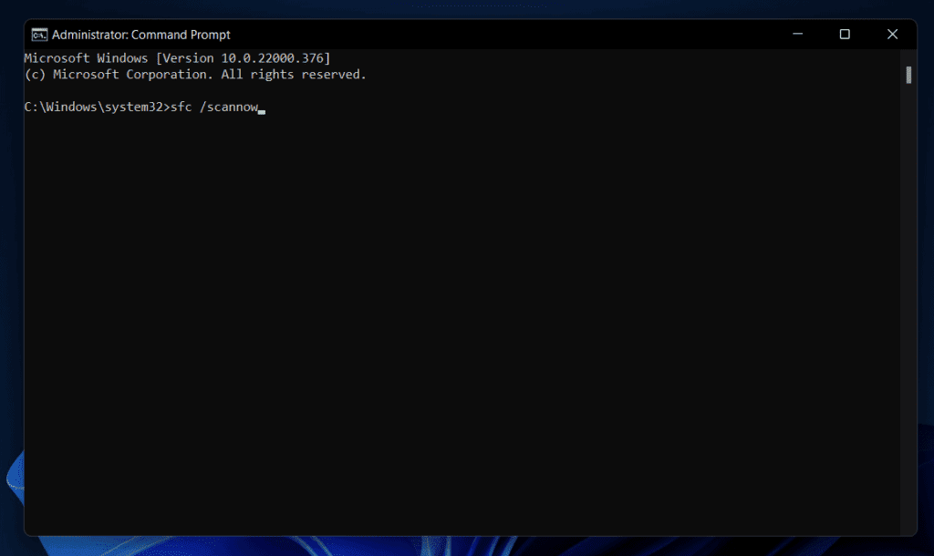 Windows 11 업데이트 오류 0x8024a203을 수정하는 방법